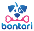 Bontari