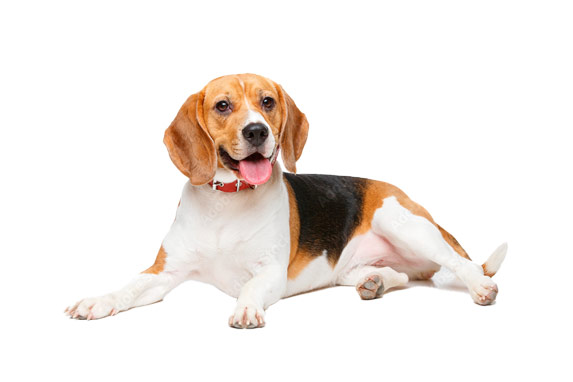 Poznaj nasze produkty